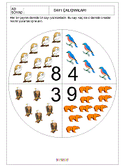 kavram gelişim çalışmaları sayılar